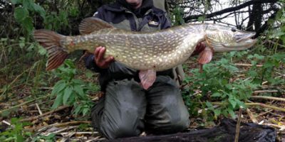 1 pike of the year 1.jpg